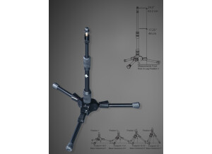 Triad-Orbit Triad T1