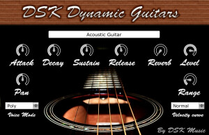 DSK Music DSK Dynamic Guitars