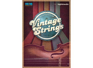 Big Fish Audio Vintage Strings