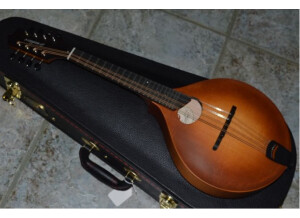 Breedlove Premier OO