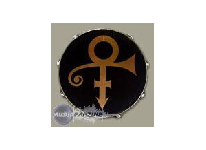 Remo Prince Symbol Tambourine
