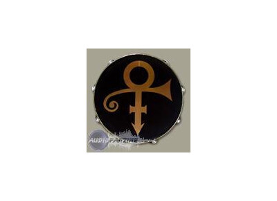 Remo Prince Symbol Tambourine