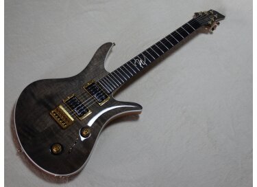 Wolf Guitars WE1