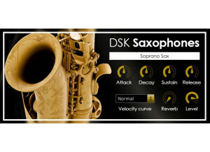 DSK Music DSK Saxophones