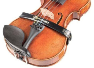 Headway Music Audio The Band Viola