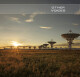 Soundsdivine Other Voices library for Codex