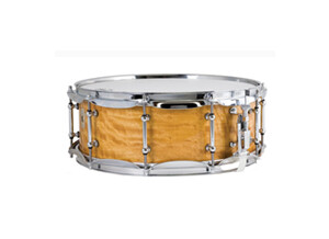 Ludwig Drums LS560T