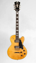 D'angelico New Yorker SD-9