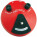 See the photo of the Dunlop JHF2 Jimi Hendrix Fuzz Face Dunlop JHF2 Jimi Hendrix Fuzz Face