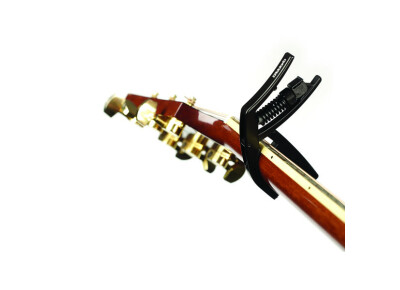 Planet Waves NS Artist Drop Tune