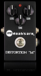Noah's Ark Distortion M