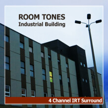 Detunized DTs+DTG061 Room Tones - Industrial Building