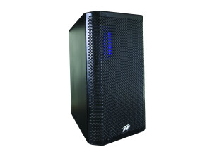 Peavey RBN 110