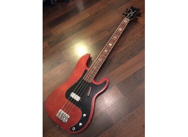 Ampeg Little Stud