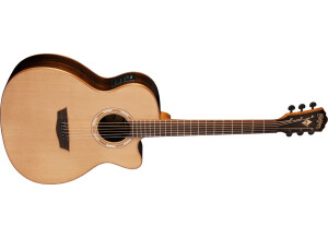 Washburn Woodline G26SCE