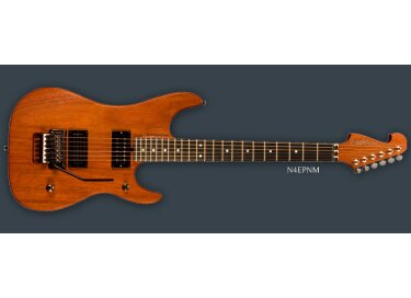 Washburn N4 EPNM