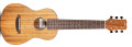 Gagnez une guitare de voyage Cordoba Mini O