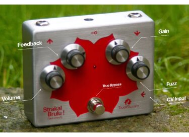 Touellskouarn Strakal Brulu {Taol Evezh}