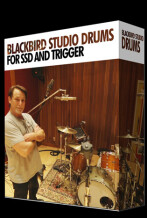 Steven Slate Drums Blackbird Studio Drums