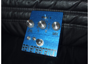 Dr. Scientist Reverberator Custom