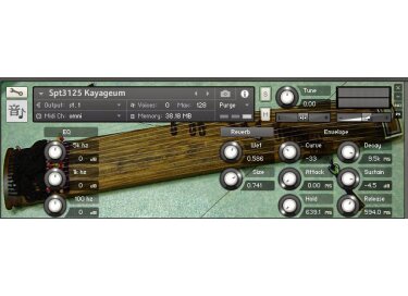 BIGcat Instruments Spt3125 Kayageum