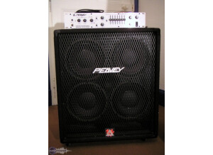 Peavey 410 TX