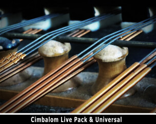 A Schunda Cimbalom from Budapest