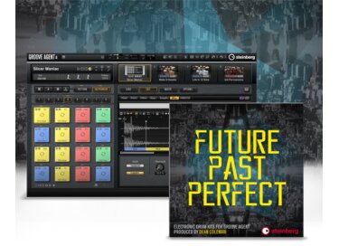 Steinberg Future Past Perfect