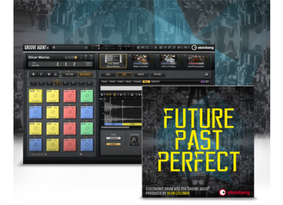 Steinberg Future Past Perfect