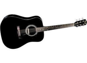 Fender DG-11E