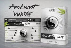 Big Fish Audio Ambient White