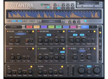 DS Audio Tantra