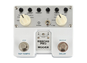 Mooer Reecho Pro