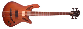 A new Spector NS-2 bass
