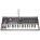 Korg microKORG