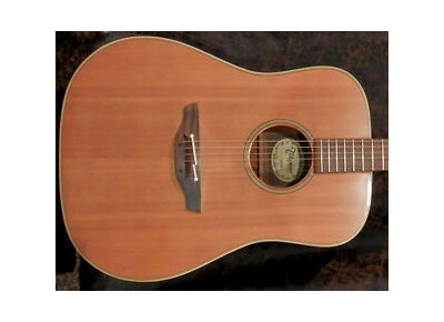 Takamine EAN 10