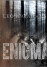 Spitfire Leo Abrahams Enigma Redux et un teaser