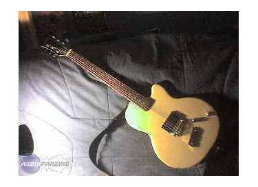 DeArmond M-55