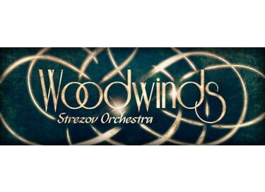 Strezov Sampling Woodwinds - Bassoons