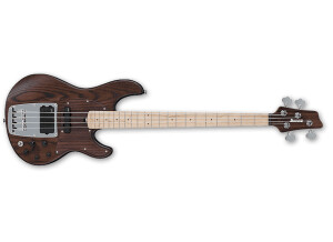 Ibanez ATK800E