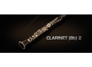 VSL (Vienna Symphonic Library) Clarinet (Bb) 2