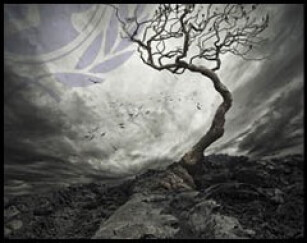 Des banques Spitfire pour aider l’UNICEF