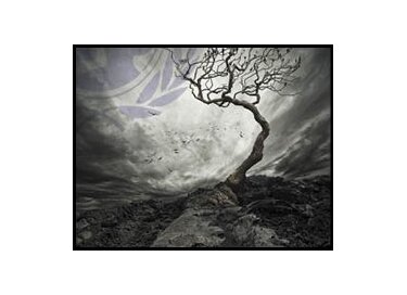 Spitfire Audio Scary Strings