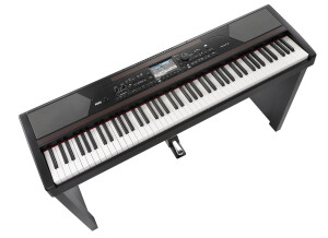 Korg HAVIAN-30