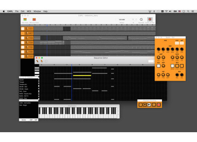 Simo Virokannas CARL