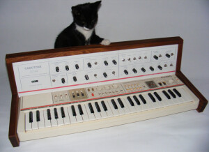 Casio Casiotone MT-68