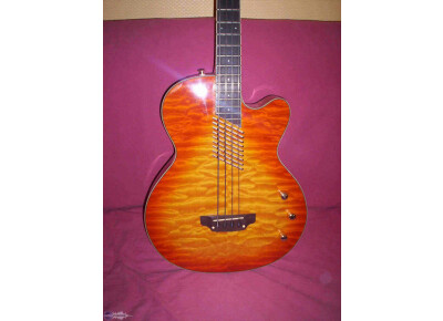 Washburn AB40