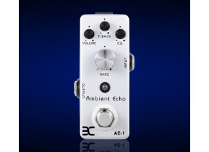 EX Amp TC-21 Ambient Echo AE-1