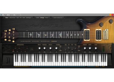 Ample Sound Ample Guitar P II