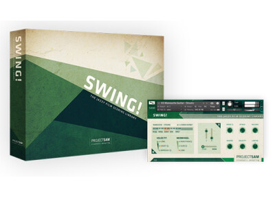 Project SAM Swing